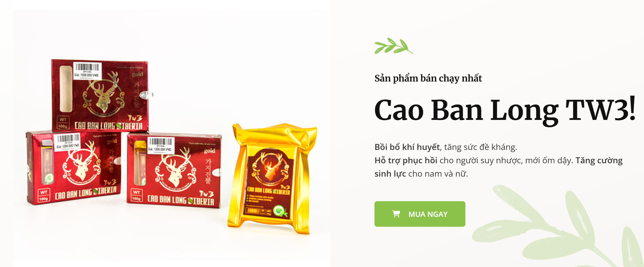 Cao Ban Long Siberia